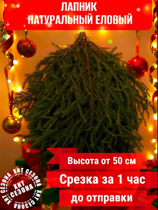 Елки Едут Лапник натуральный, ветви для декора и укрытия растений, живой