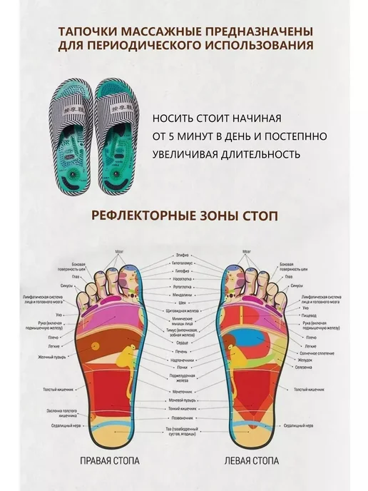 Тапочки мужские массажные акупунктурные, синий, фото 3