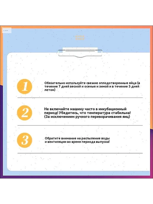 Инкубатор для яиц курицы, 10 шт, 10 шт, фото 5