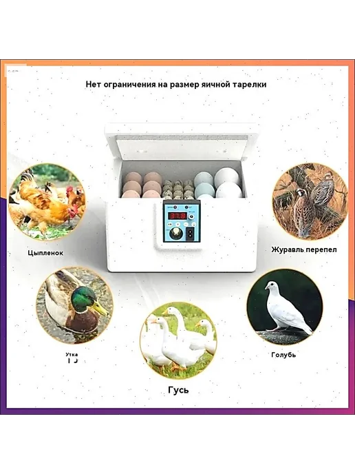 Инкубатор для яиц курицы, 10 шт, 10 шт, фото 6