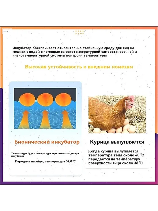 Инкубатор для яиц курицы, 10 шт, 10 шт, фото 8