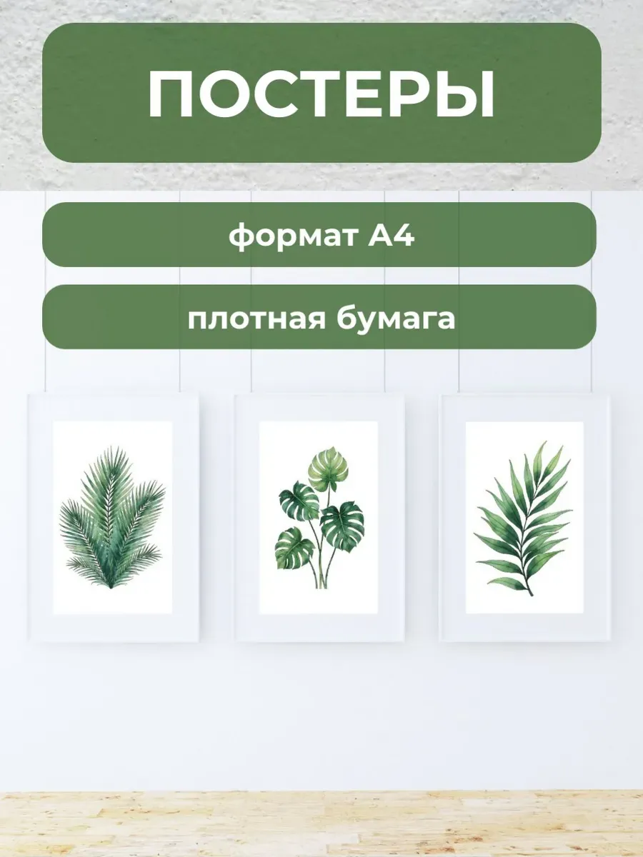 Интерьерные постеры А4 Тропики