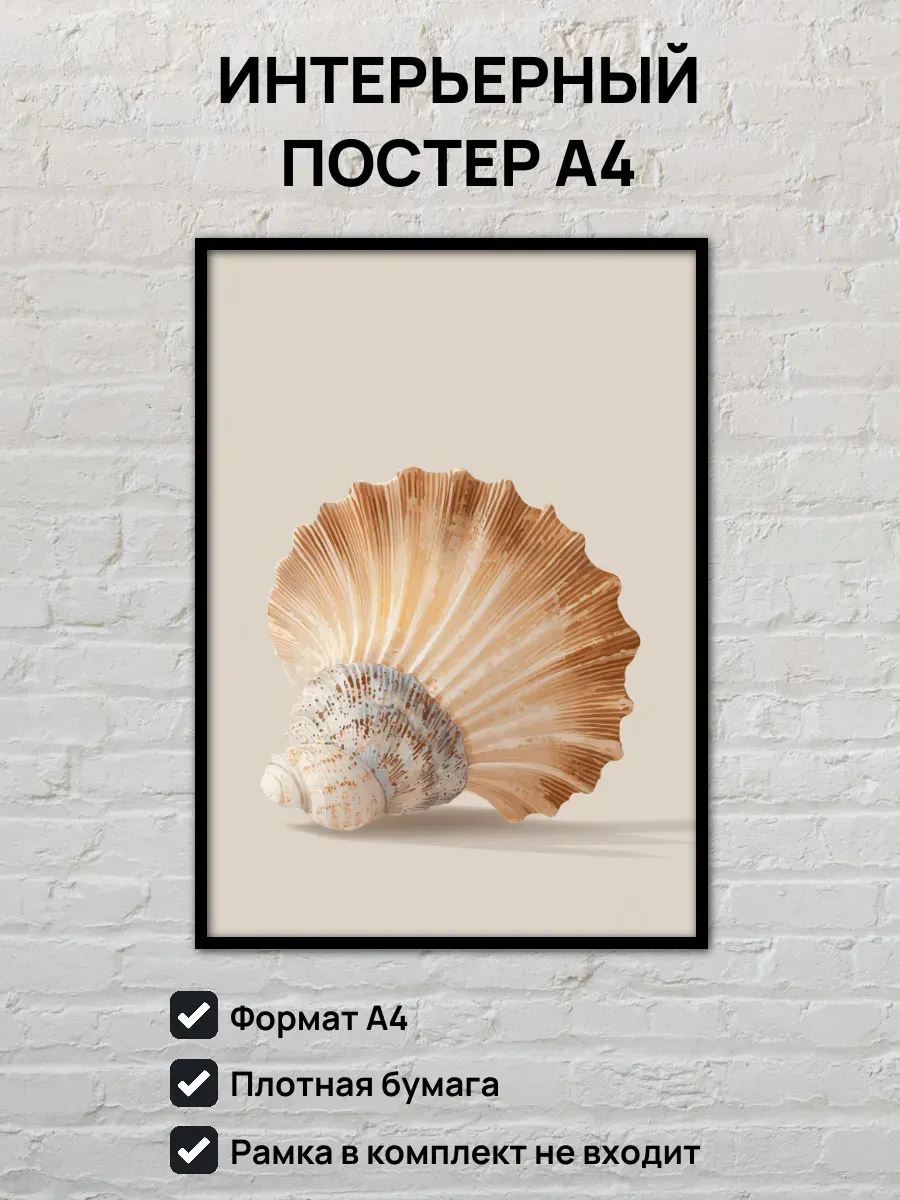 Интерьерный постер А4 Ракушка