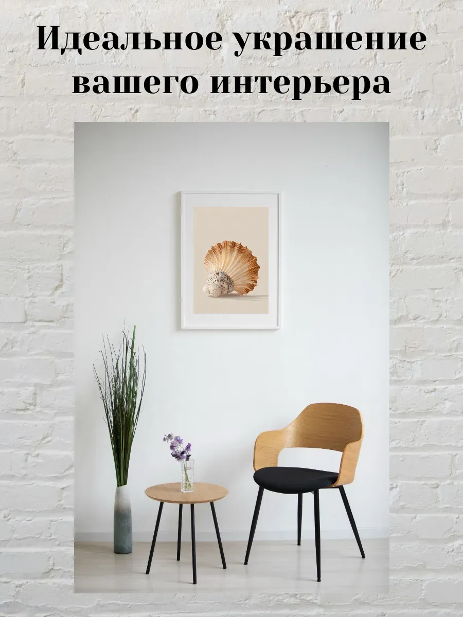Интерьерный постер А4 Ракушка — миниатюра 2