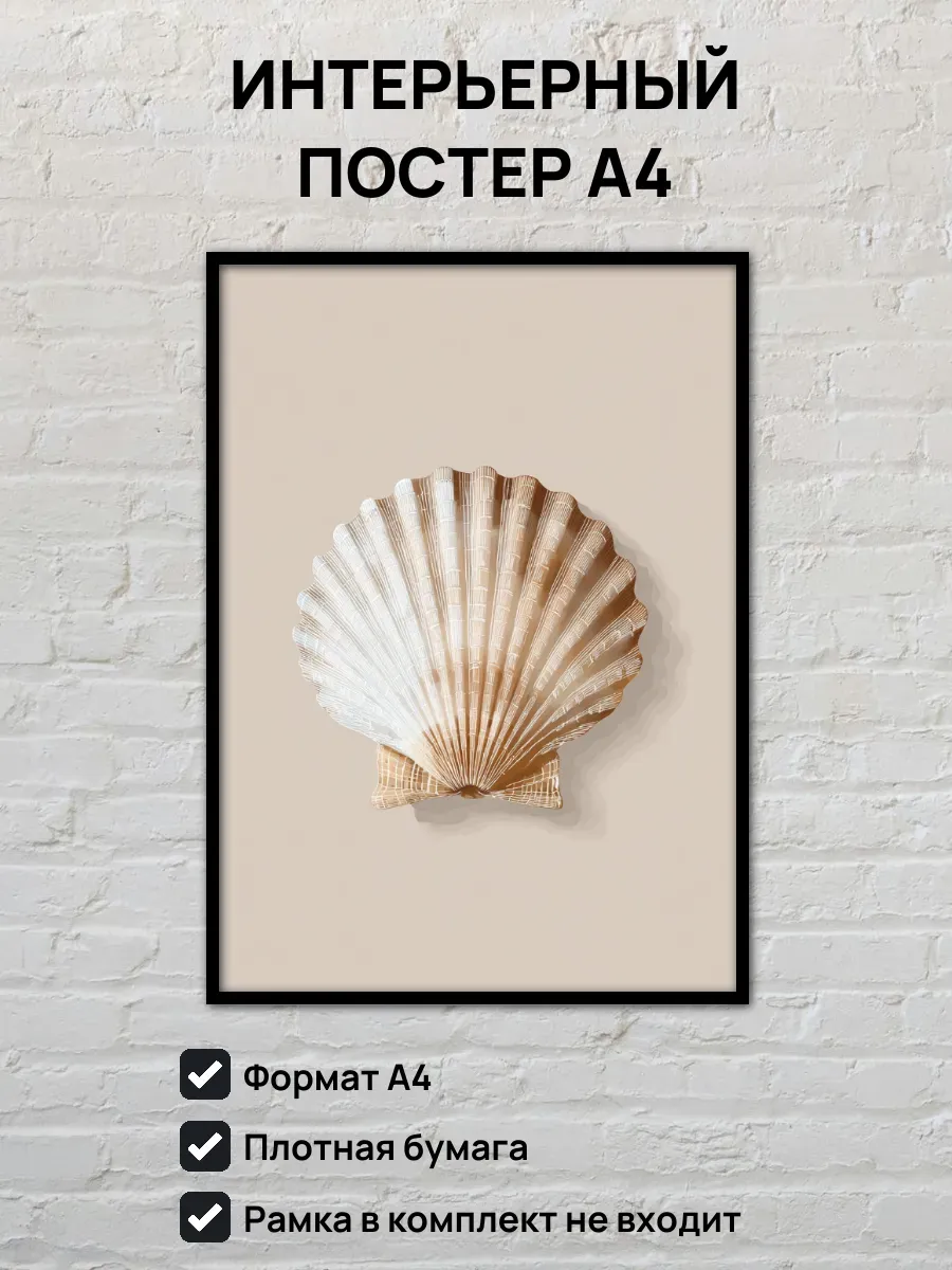 Интерьерный постер А4 Ракушка