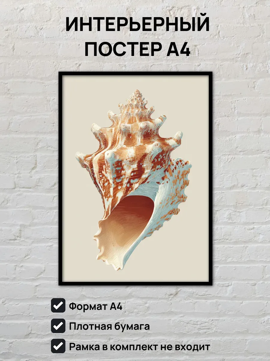 Интерьерный постер А4 Ракушка
