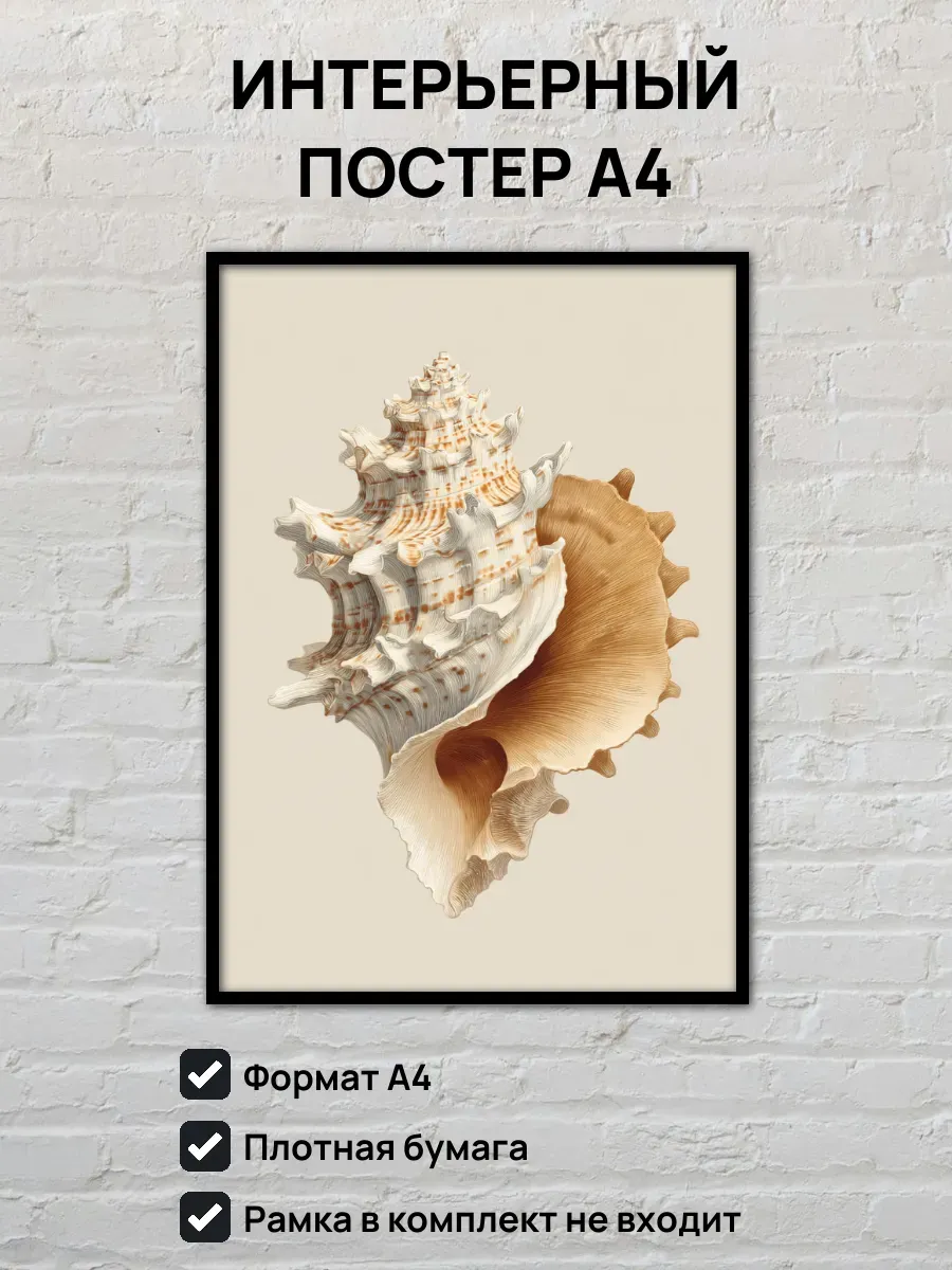 Интерьерный постер А4 Ракушка