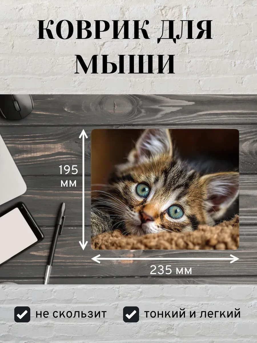 Коврик для мыши с принтом Котенок