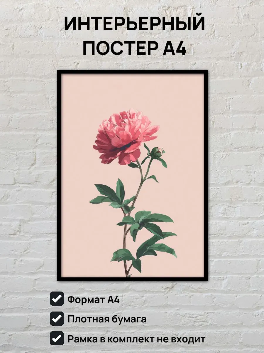 Интерьерный постер А4 Пион