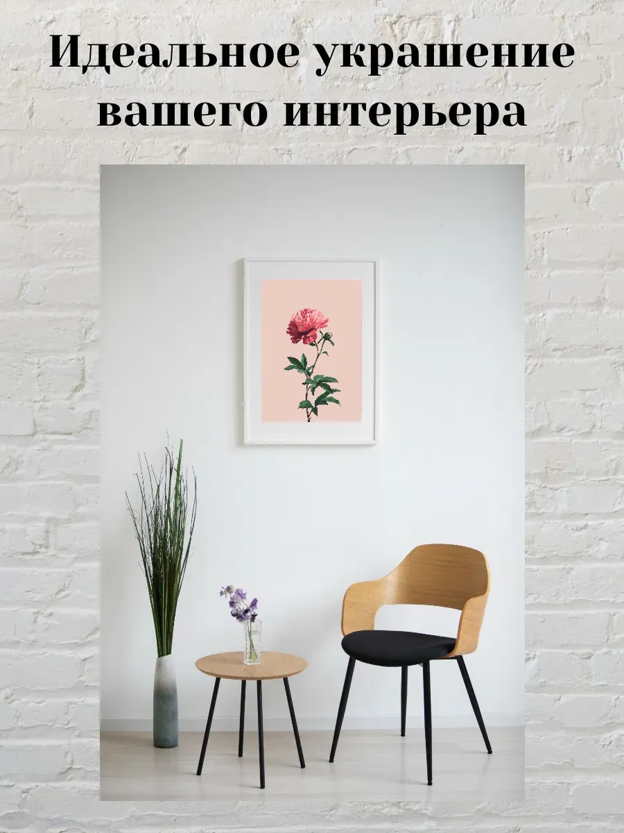 Интерьерный постер А4 Пион — миниатюра 2