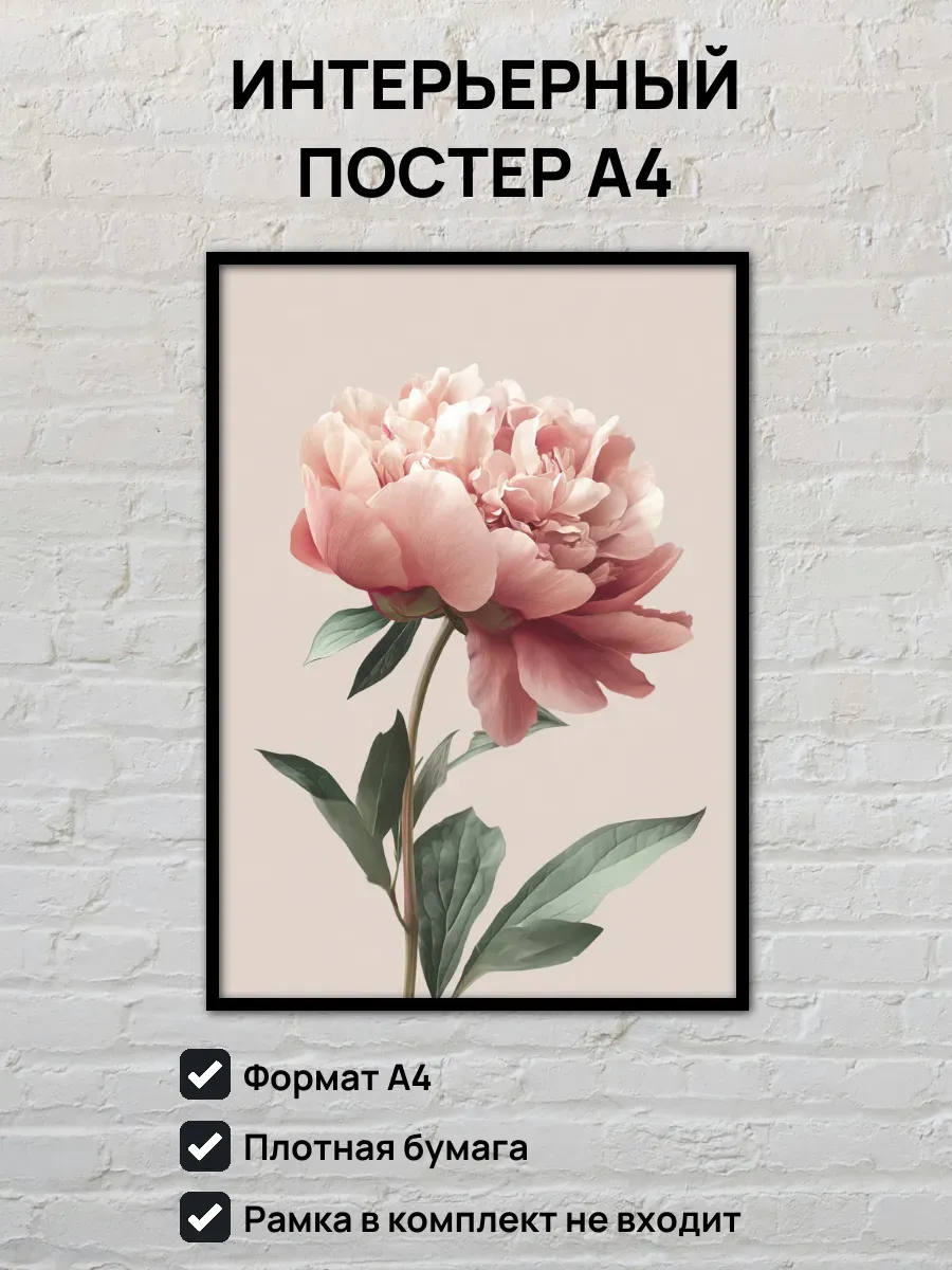 Интерьерный постер А4 Пион