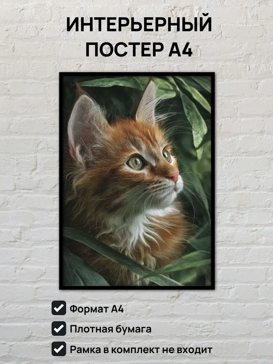Интерьерный постер А4 Кот