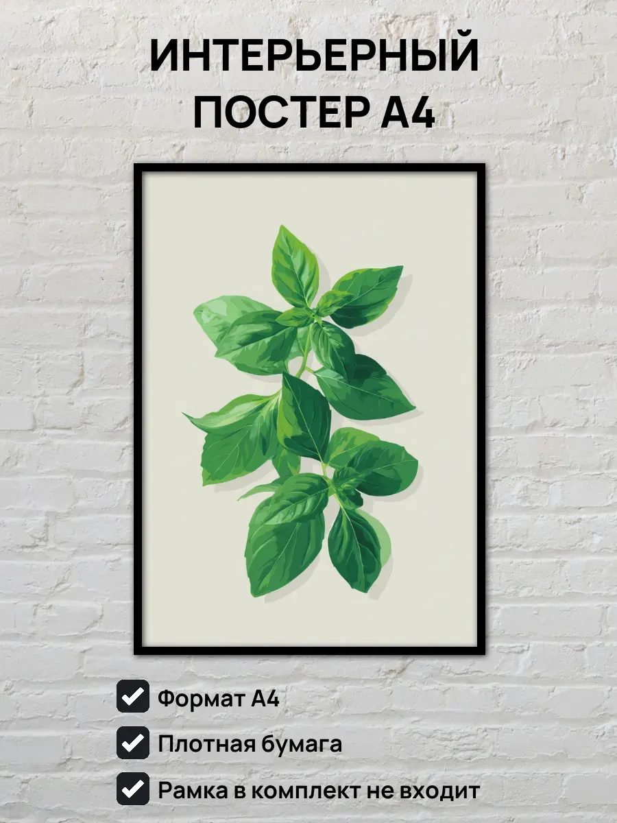 Интерьерный постер А4 Базилик