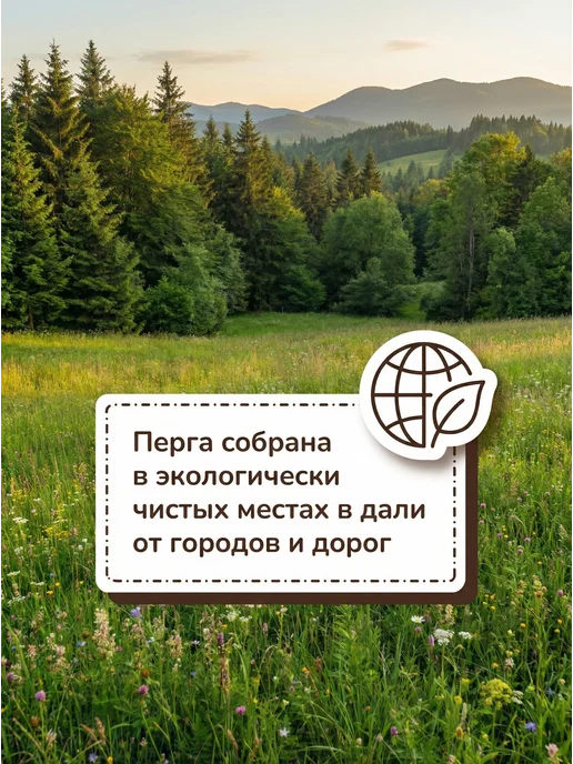 ЯНТАРНЫЙ КЛЮЧ Перга пчелиная натуральная 50 г, 2026, 300 г, фото 7