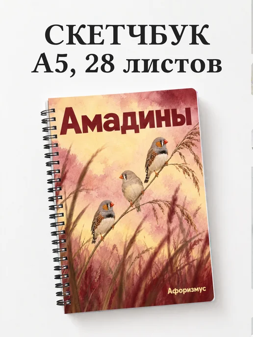 Скетчбук Амадины