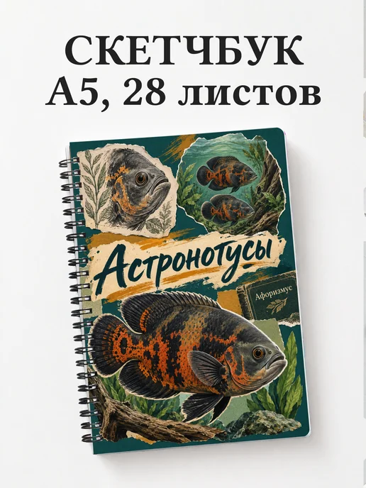 Скетчбук Астронотусы