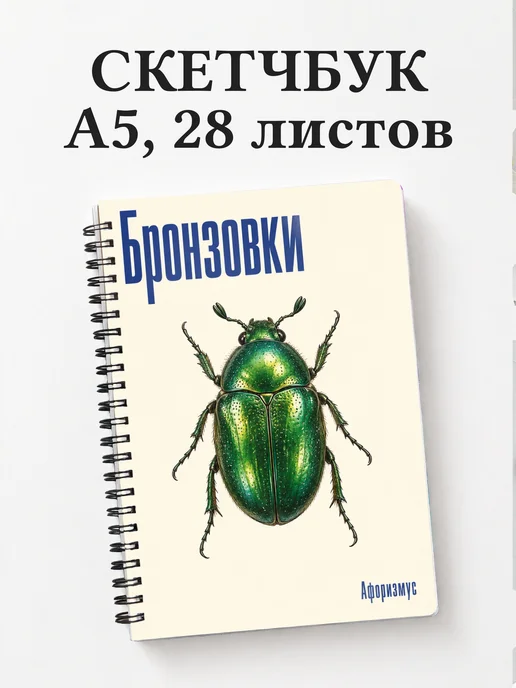 Скетчбук Бронзовки