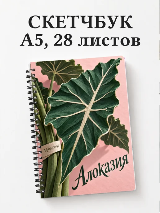 Скетчбук Алоказия