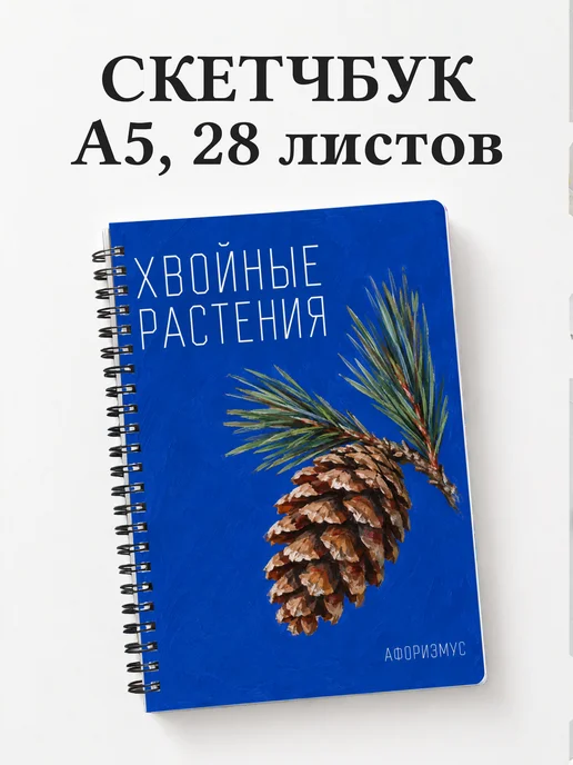 Скетчбук Хвойные растения