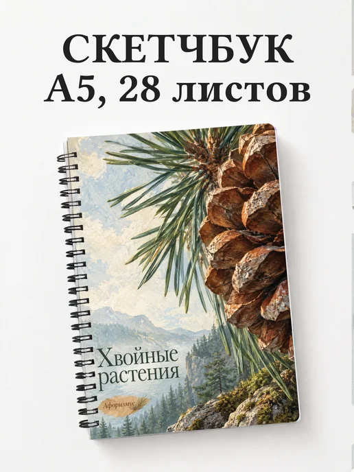 Скетчбук Хвойные растения