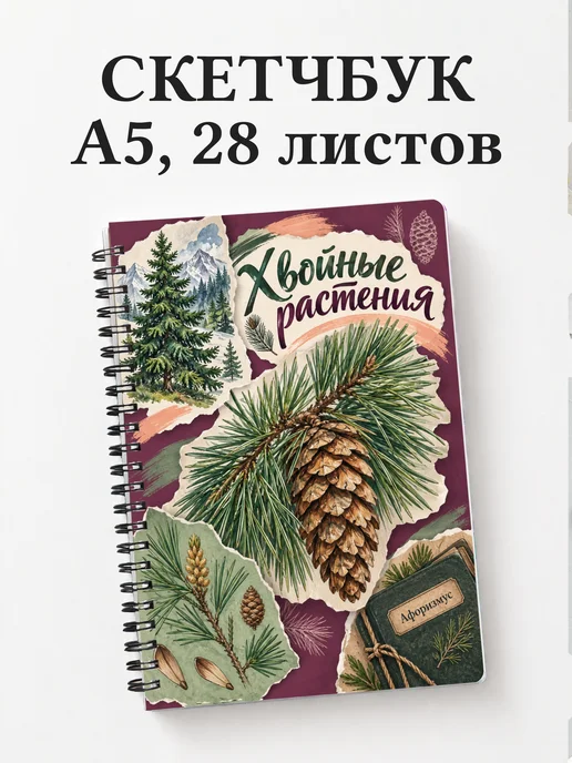 Скетчбук Хвойные растения