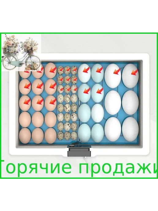 Инкубатор для яиц, 10 шт, 10 шт, фото 7