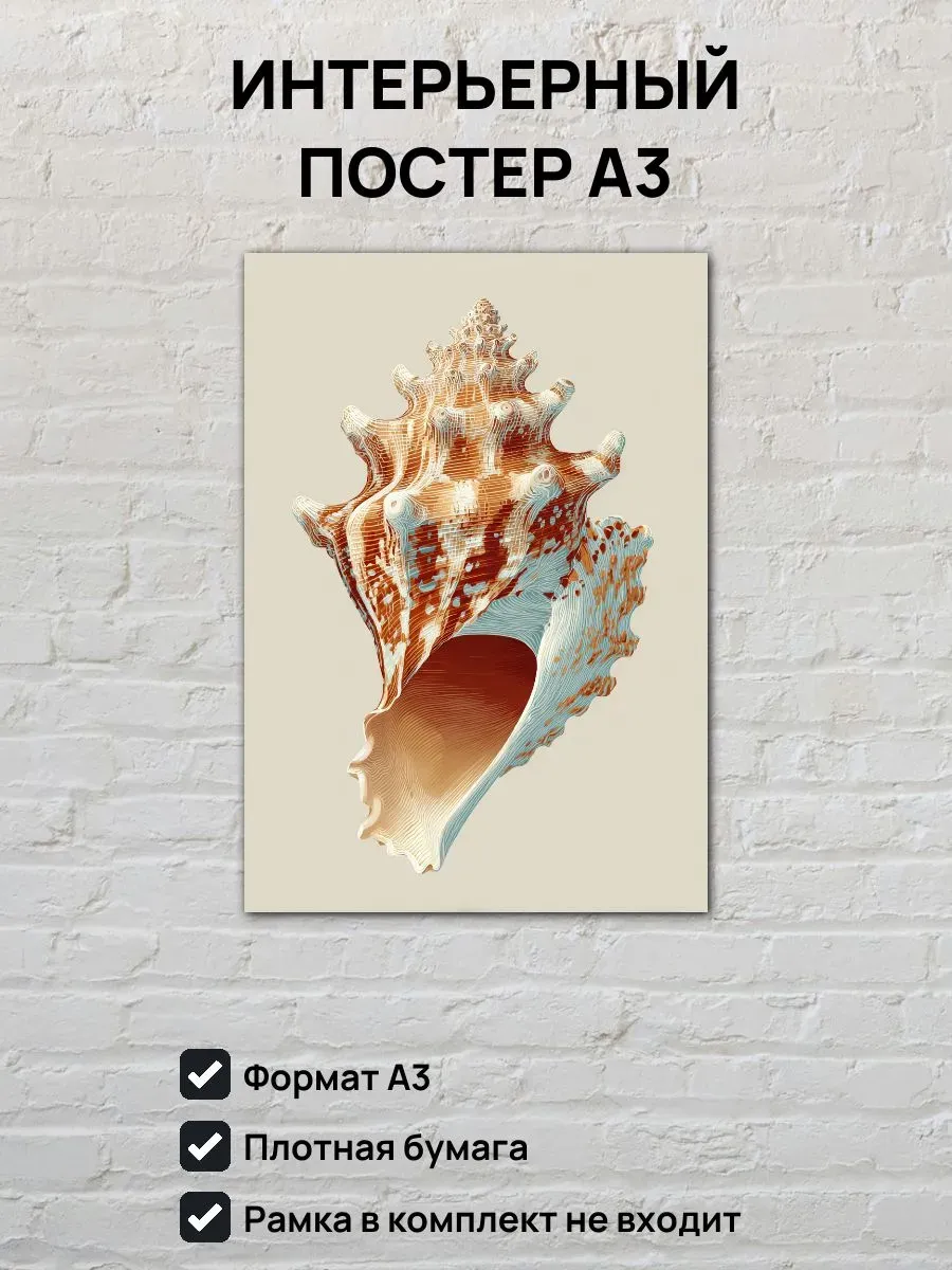Интерьерный постер А3 Ракушка
