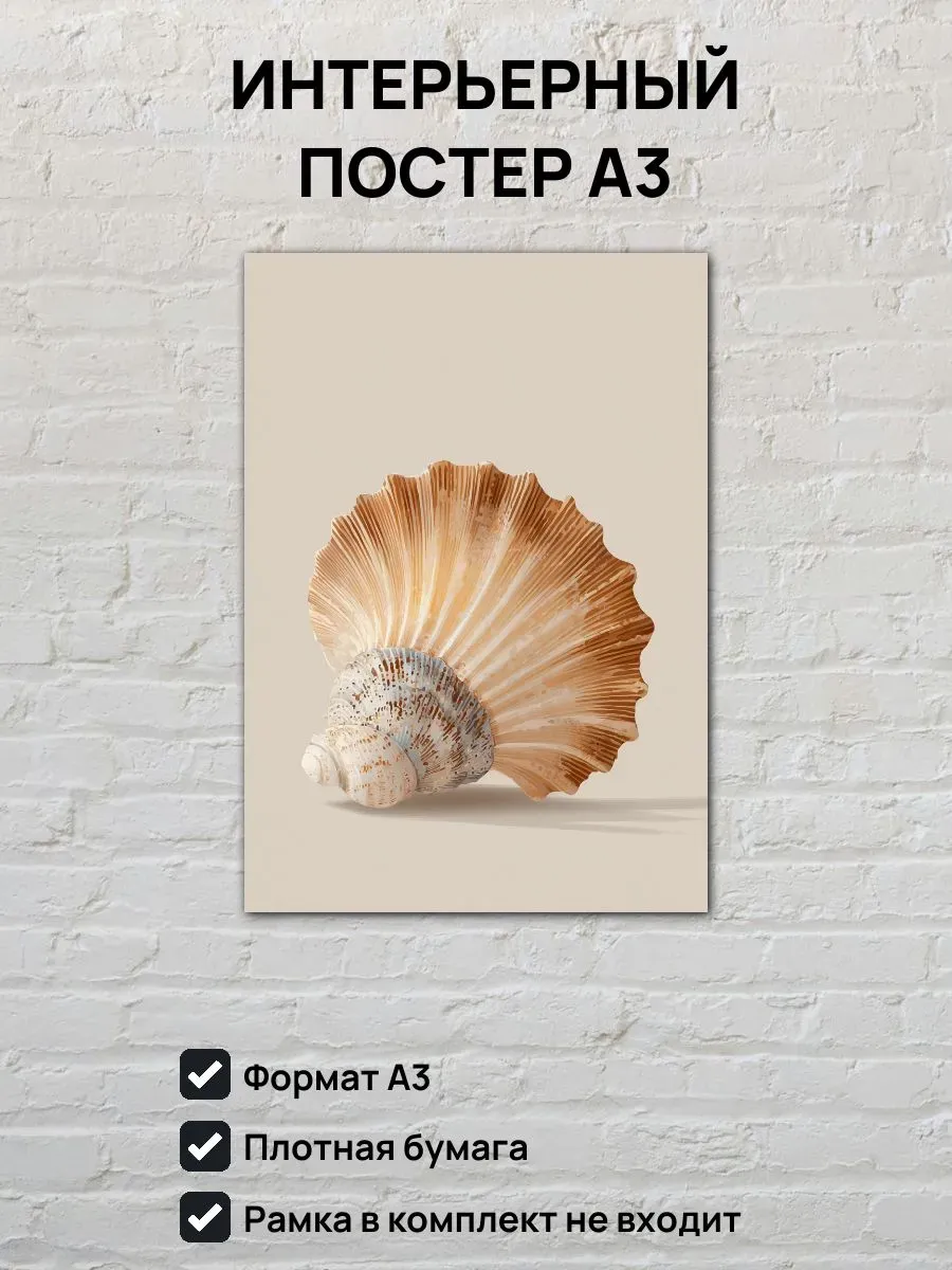 Интерьерный постер А3 Ракушка