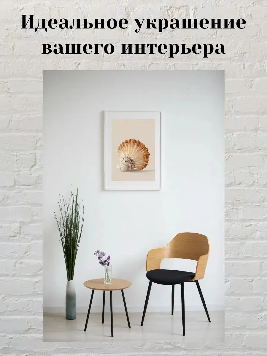 Интерьерный постер А3 Ракушка — миниатюра 2
