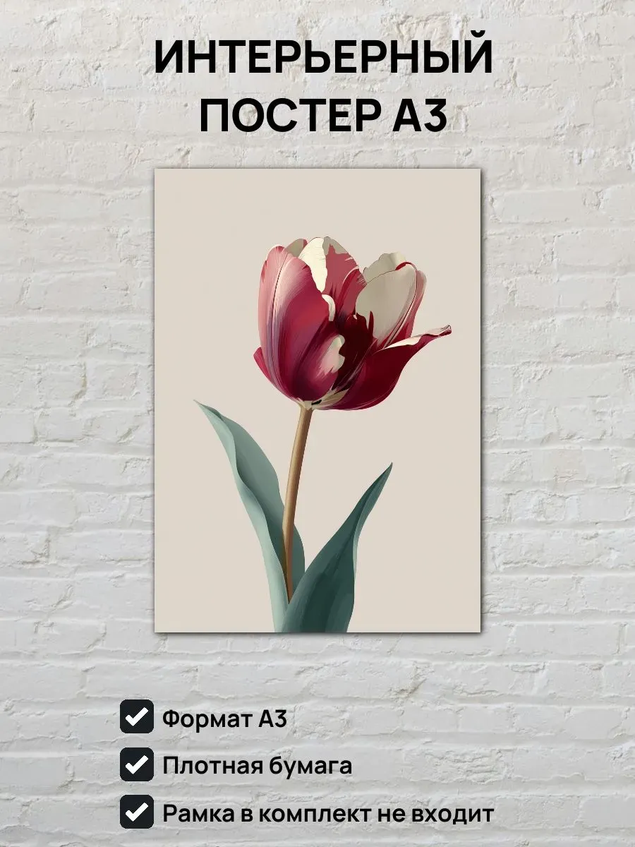 Интерьерный постер А3 Тюльпан