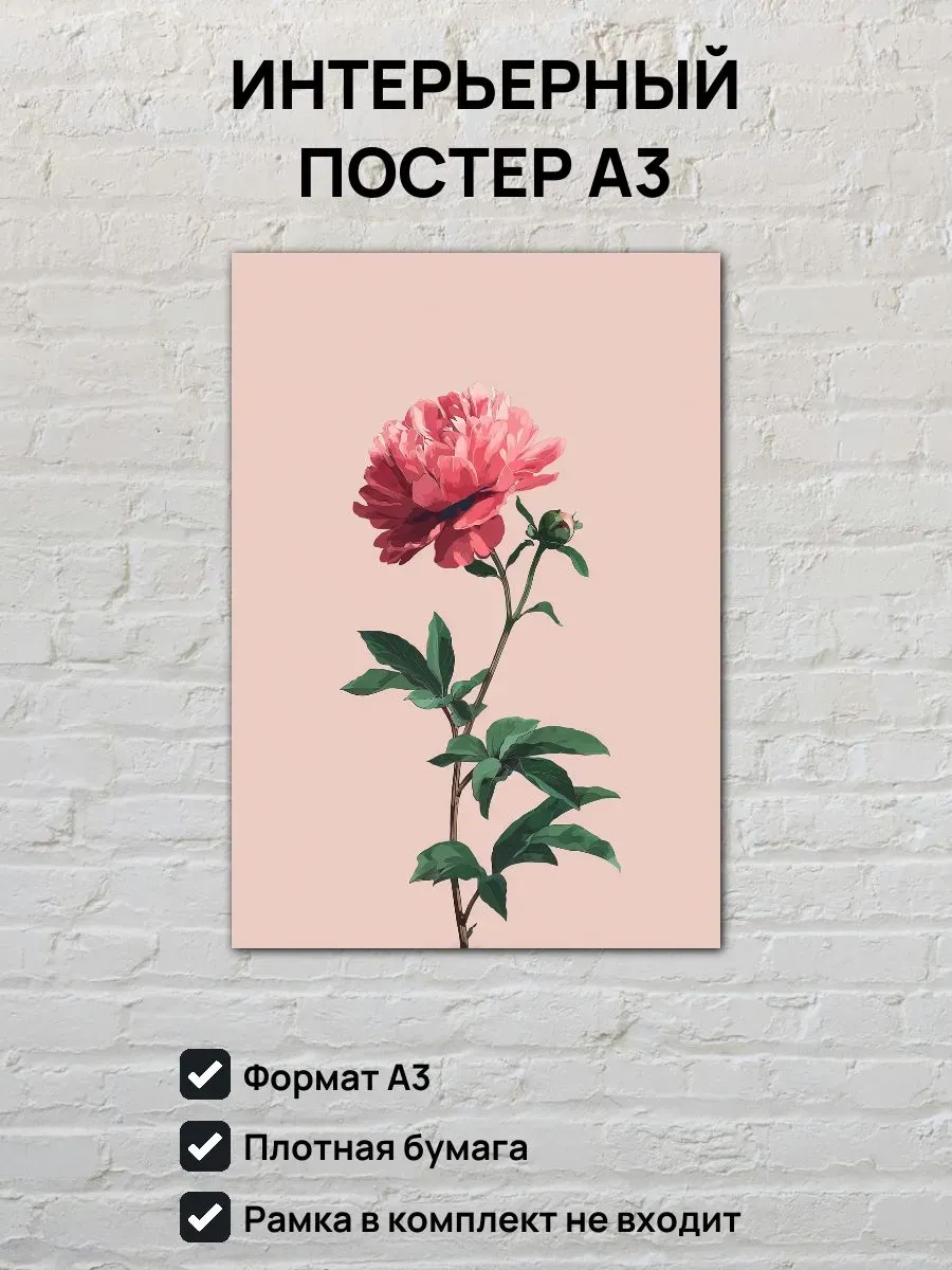 Интерьерный постер А3 Пион