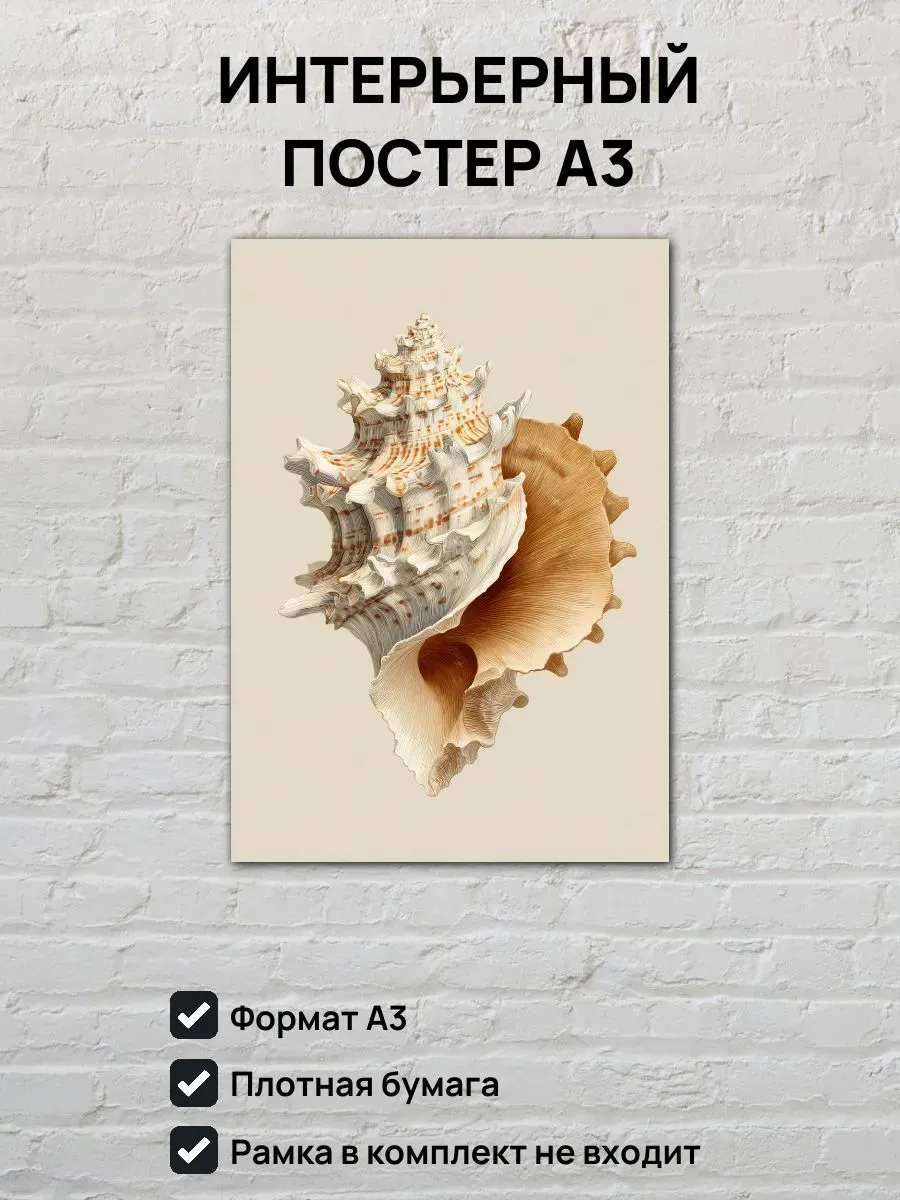 Интерьерный постер А3 Ракушка