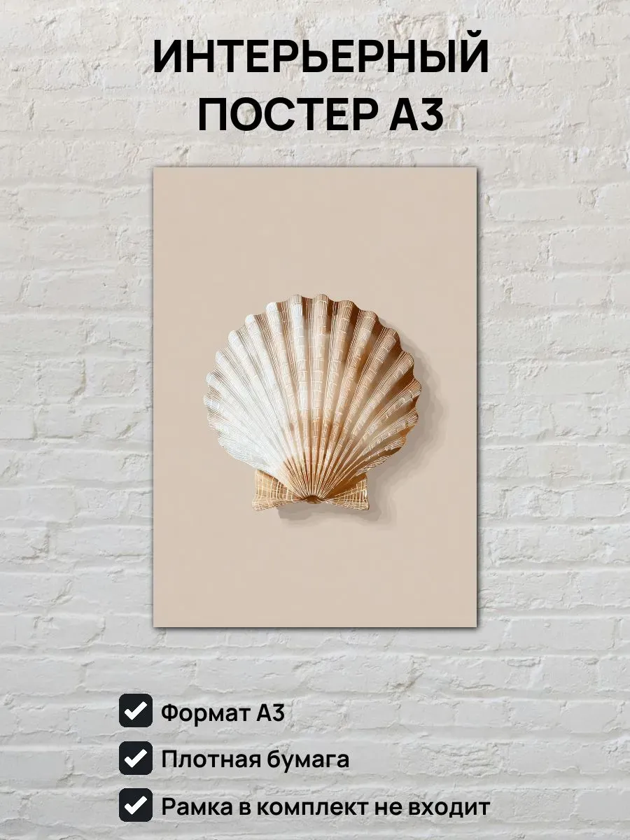 Интерьерный постер А3 Ракушка