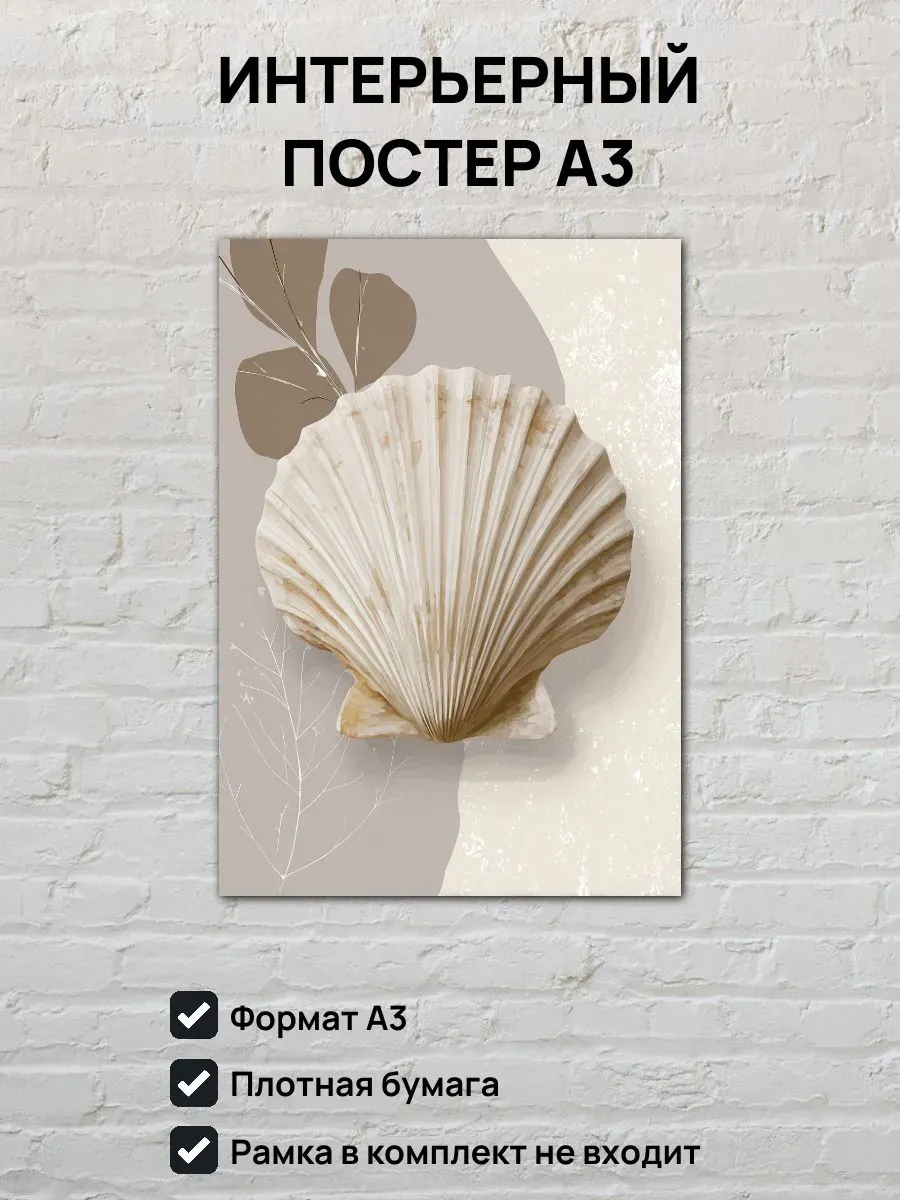 Интерьерный постер А3 Ракушка