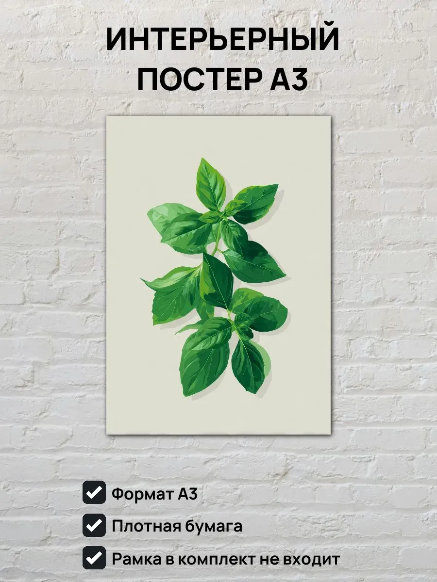 Интерьерный постер А3 Базилик