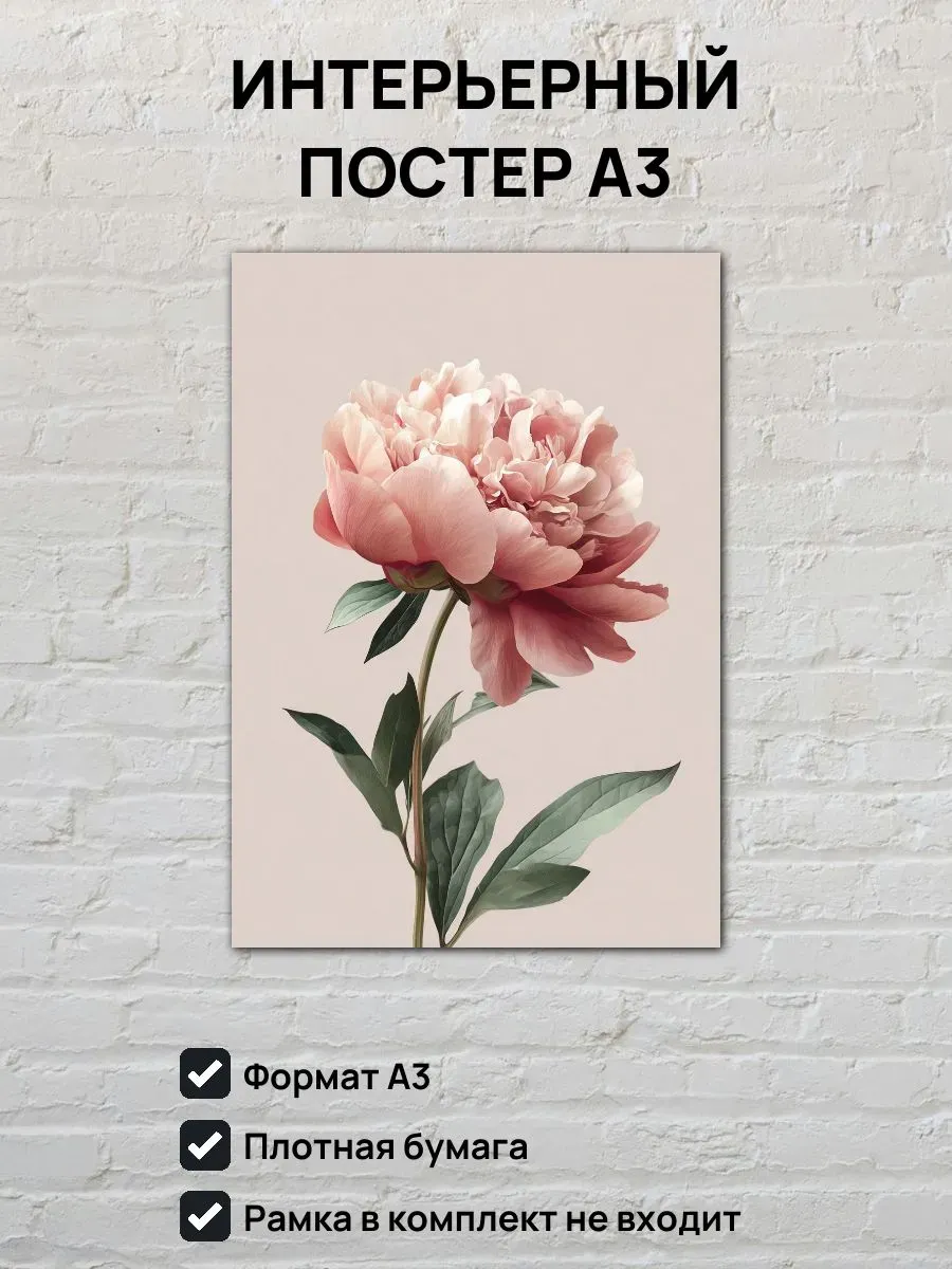 Интерьерный постер А3 Пион