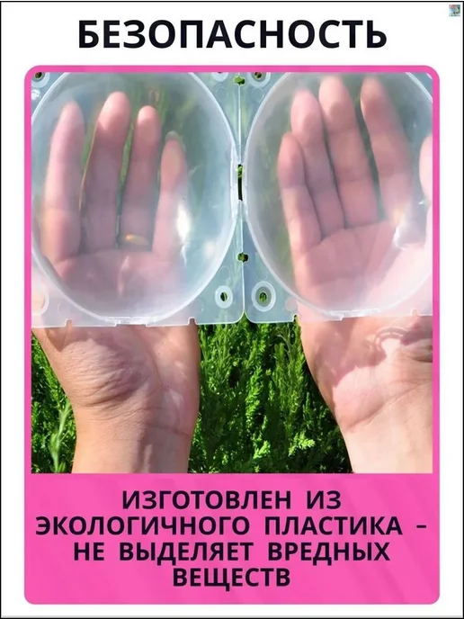Набор для выращивания, вариант, фото 2