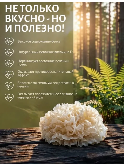 Грибы сушеные древесные Коралловый Тремелла, 100гр, 300 г, фото 2